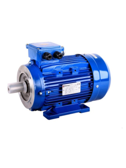 Motor for cutters 5.5 kW 1400 RPM