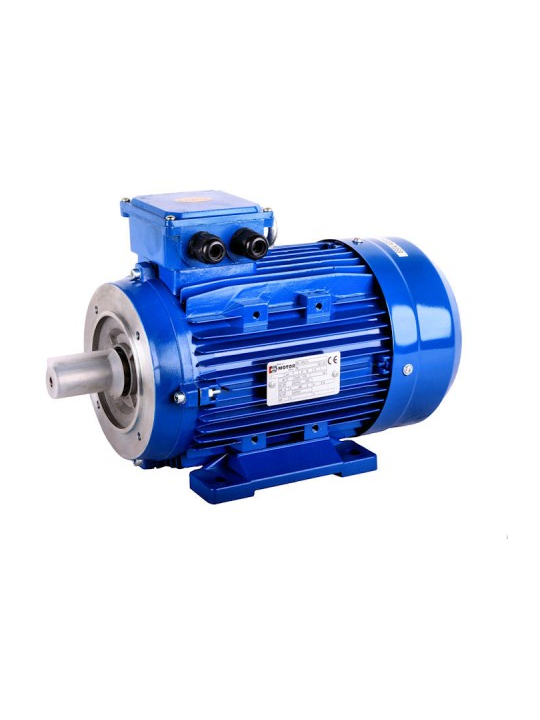 Motor for cutters 5.5 kW 1400 RPM